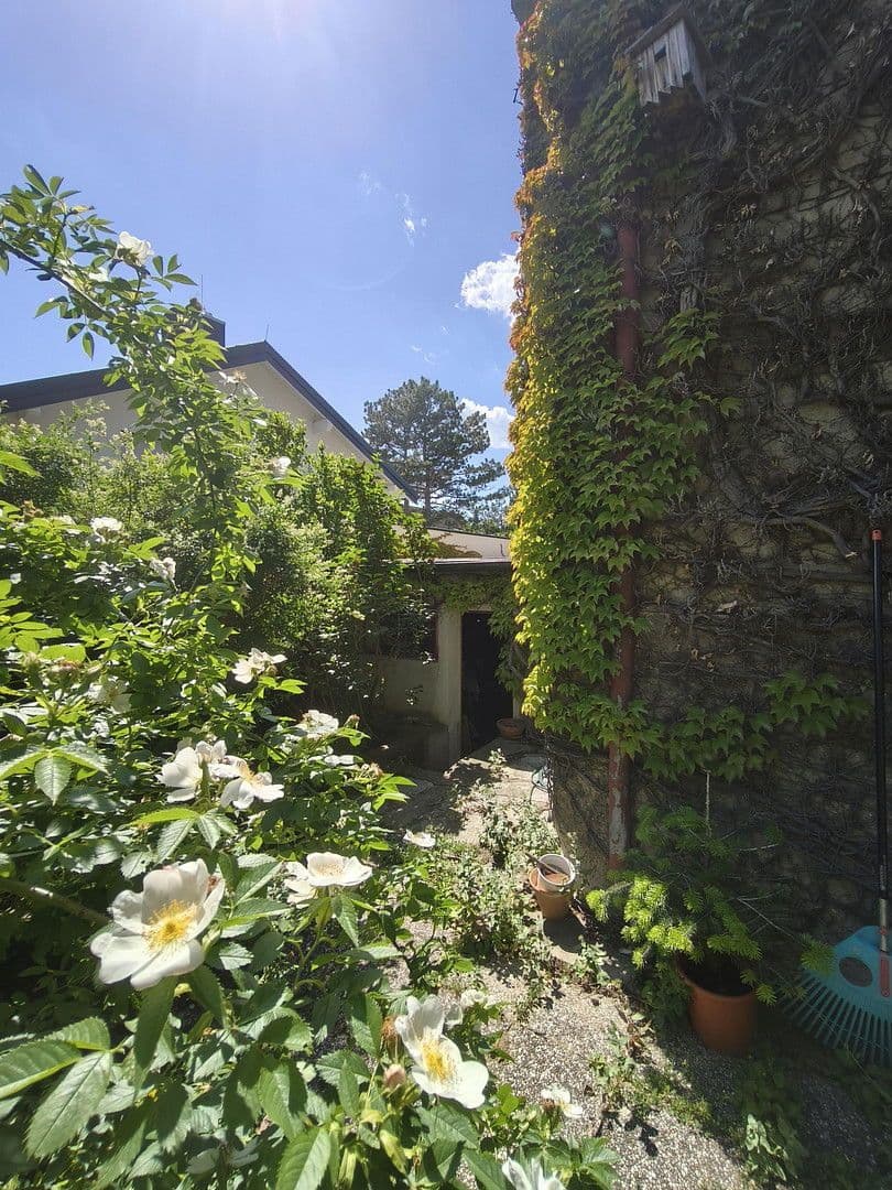 Prodej domu 150 m², pozemek 520 m², Heudörfelgasse 5, Wien, Wien Prodej domu 150 m², pozemek 520 m², Heudörfelgasse 5, Wien, Wien