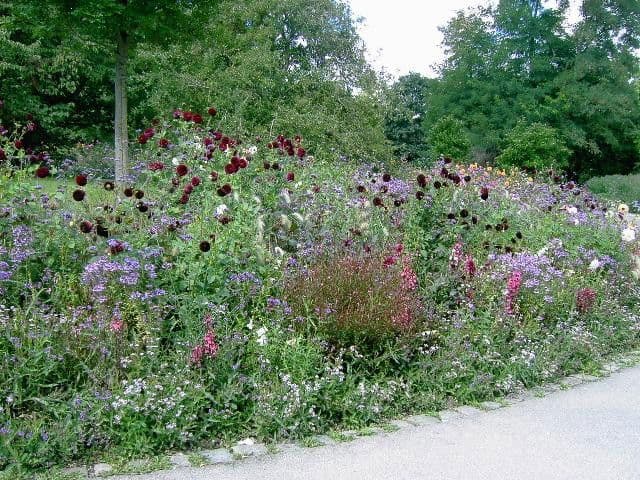 Pronájem bytu 4+1 147 m², München, Bavorsko Pronájem bytu 4+1 147 m², München, Bavorsko