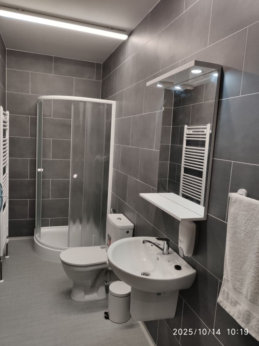 Prodej nebytového prostoru 650 m², Puclice, Plzeňský kraj Prodej nebytového prostoru 650 m², Puclice, Plzeňský kraj