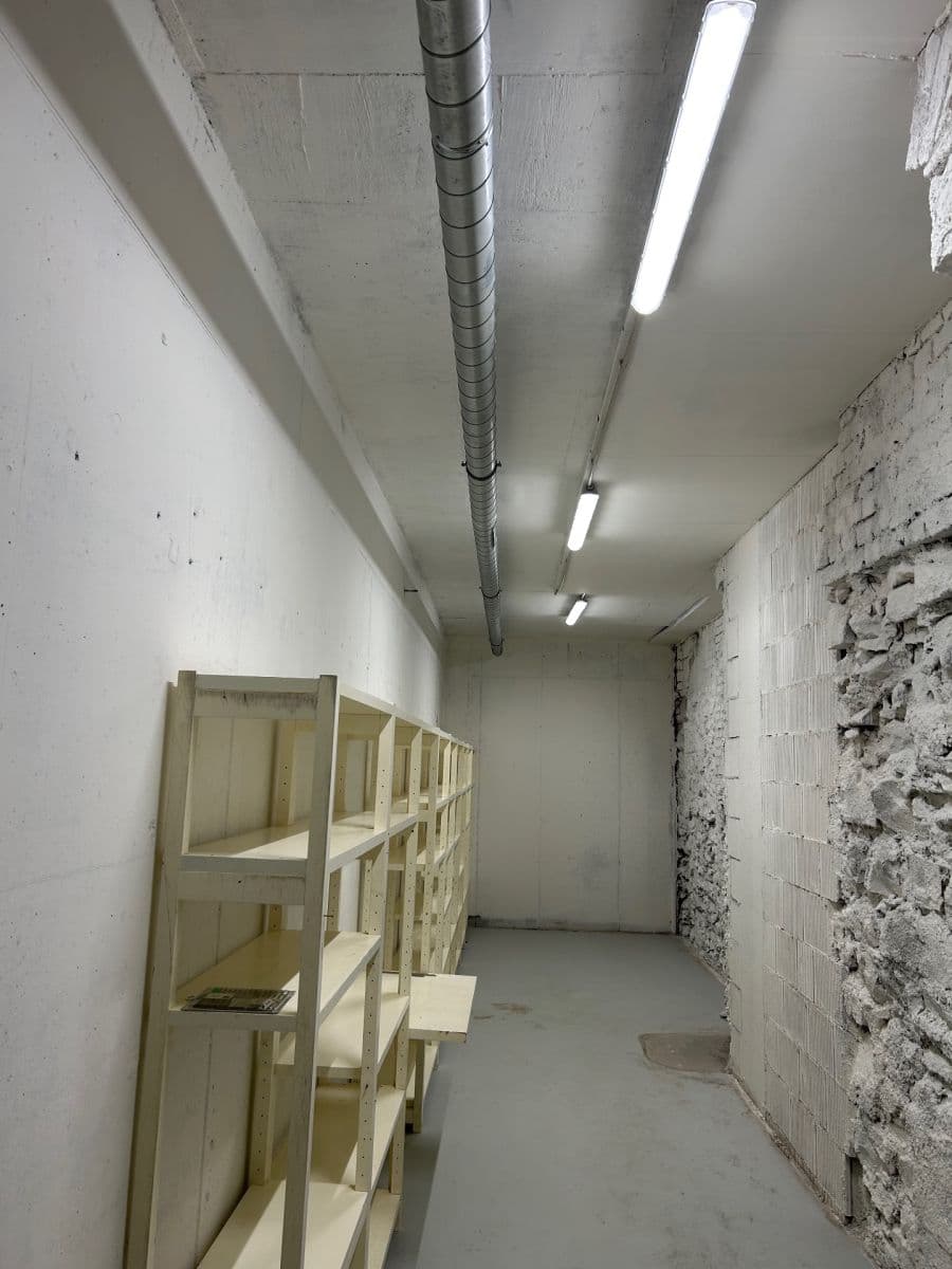 Pronájem nebytového prostoru 24 m², Lindleyova, Praha, Praha Pronájem nebytového prostoru 24 m², Lindleyova, Praha, Praha