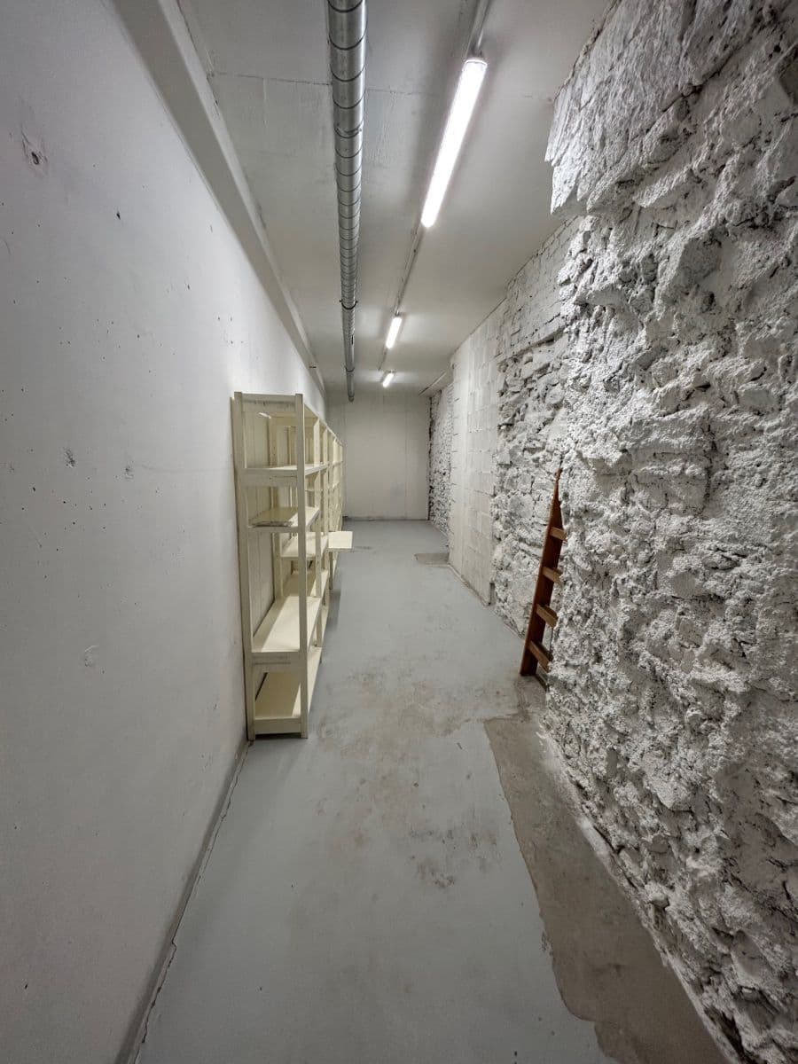 Pronájem nebytového prostoru 24 m², Lindleyova, Praha, Praha Pronájem nebytového prostoru 24 m², Lindleyova, Praha, Praha