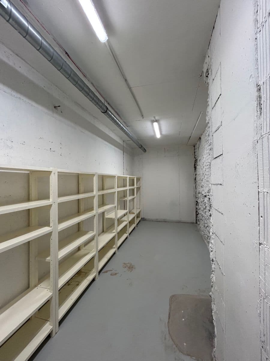 Pronájem nebytového prostoru 24 m², Lindleyova, Praha, Praha Pronájem nebytového prostoru 24 m², Lindleyova, Praha, Praha