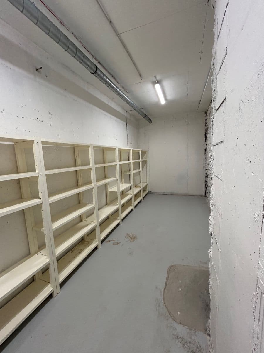 Pronájem nebytového prostoru 24 m², Lindleyova, Praha, Praha Pronájem nebytového prostoru 24 m², Lindleyova, Praha, Praha