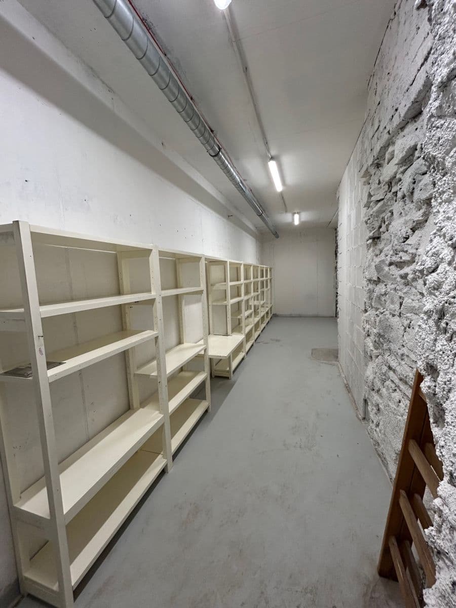 Pronájem nebytového prostoru 24 m², Lindleyova, Praha, Praha Pronájem nebytového prostoru 24 m², Lindleyova, Praha, Praha