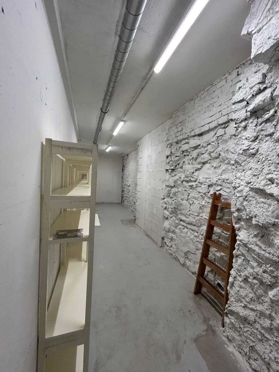 Pronájem nebytového prostoru 24 m², Lindleyova, Praha, Praha Pronájem nebytového prostoru 24 m², Lindleyova, Praha, Praha