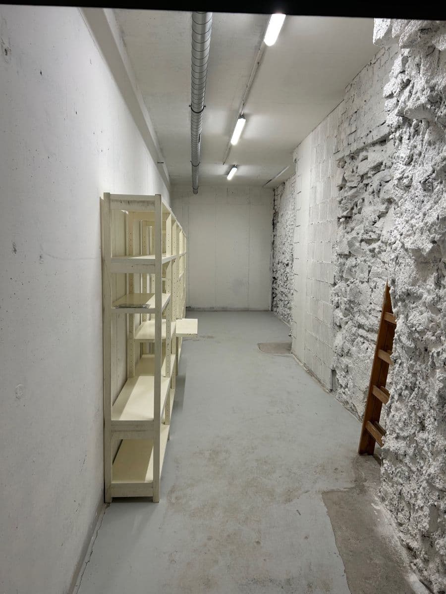 Pronájem nebytového prostoru 24 m², Lindleyova, Praha, Praha Pronájem nebytového prostoru 24 m², Lindleyova, Praha, Praha