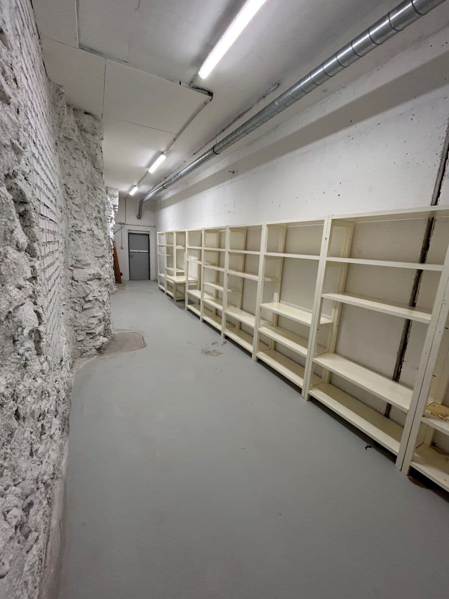 Pronájem nebytového prostoru 24 m², Lindleyova, Praha, Praha Pronájem nebytového prostoru 24 m², Lindleyova, Praha, Praha