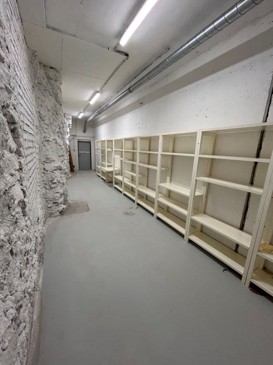 Pronájem nebytového prostoru 24 m², Lindleyova, Praha, Praha Pronájem nebytového prostoru 24 m², Lindleyova, Praha, Praha