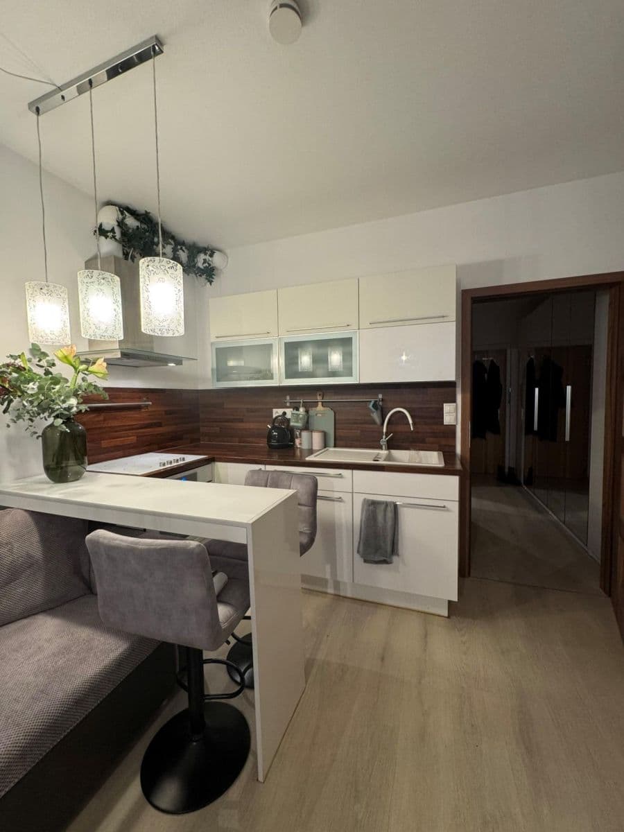 Pronájem bytu 1+kk 47 m², Květná, Plzeň, Plzeňský kraj Pronájem bytu 1+kk 47 m², Květná, Plzeň, Plzeňský kraj