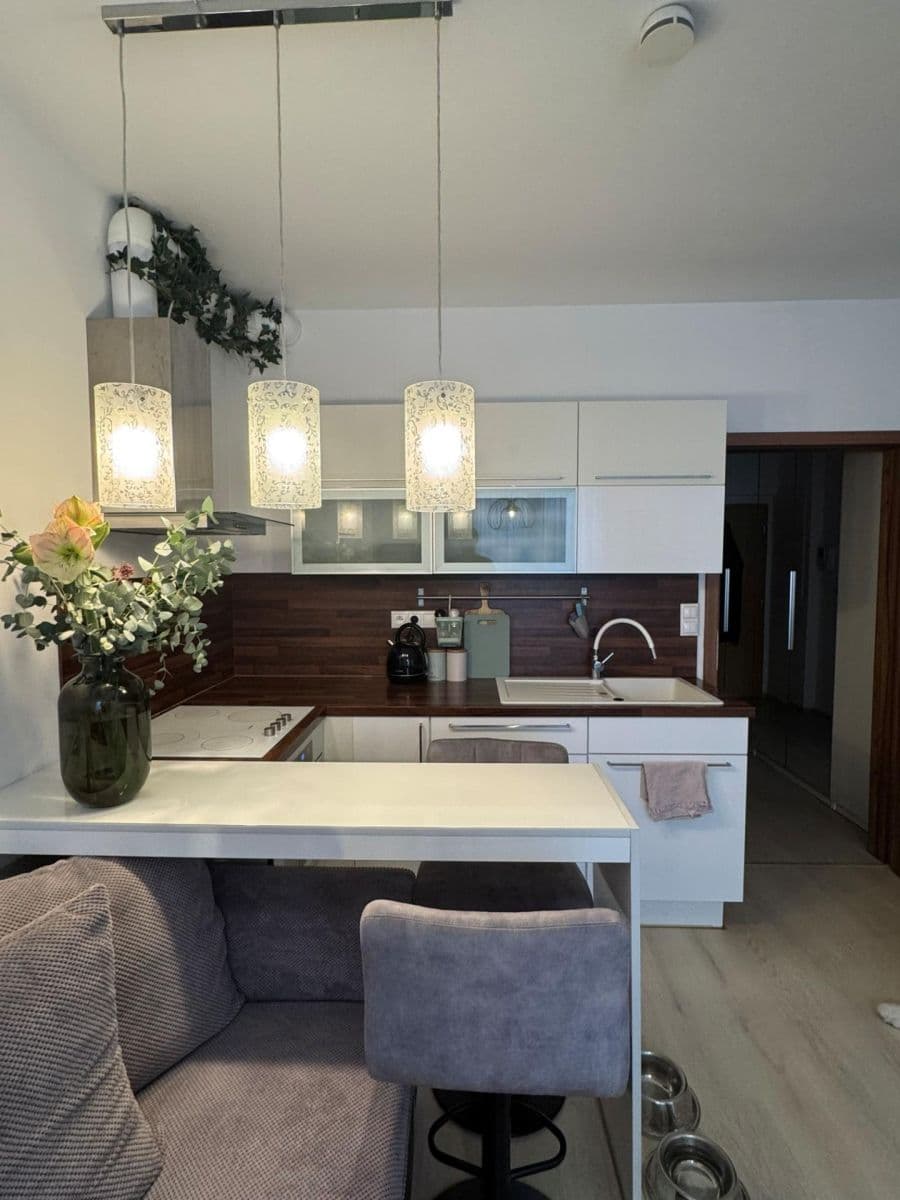 Pronájem bytu 1+kk 47 m², Květná, Plzeň, Plzeňský kraj Pronájem bytu 1+kk 47 m², Květná, Plzeň, Plzeňský kraj