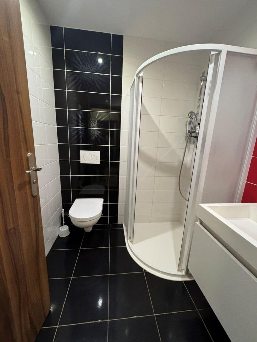 Pronájem bytu 1+kk 47 m², Květná, Plzeň, Plzeňský kraj Pronájem bytu 1+kk 47 m², Květná, Plzeň, Plzeňský kraj