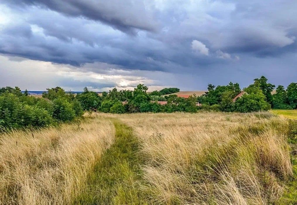 Prodej pozemku 2.077 m², Děčany, Ústecký kraj Prodej pozemku 2.077 m², Děčany, Ústecký kraj