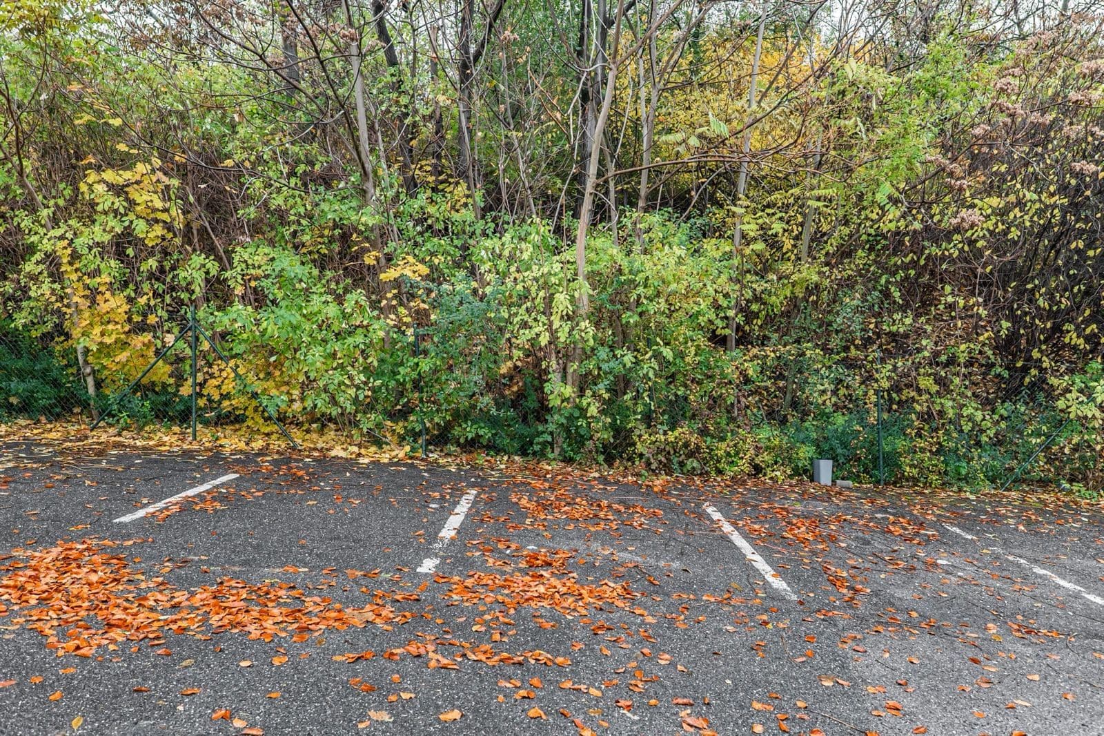 Pronájem kanceláře 60 m², Kotlaska, Praha, Praha Pronájem kanceláře 60 m², Kotlaska, Praha, Praha