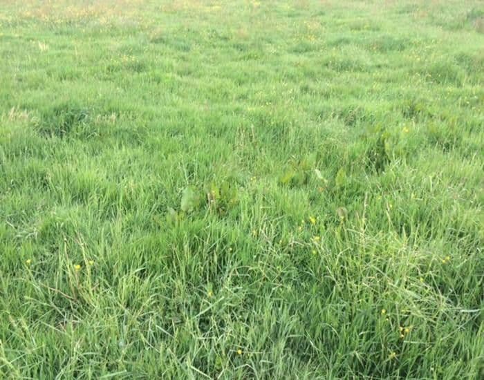 Prodej pozemku 7.600 m², Leipzig, Sasko Prodej pozemku 7.600 m², Leipzig, Sasko