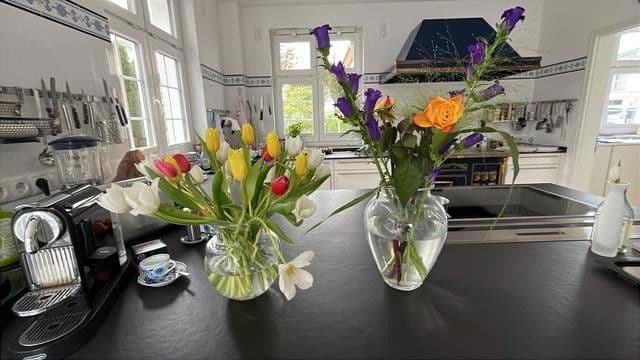 Prodej domu 265 m², pozemek 996 m², Potsdam Groß Glienicke zu Berlin, Braniborsko Prodej domu 265 m², pozemek 996 m², Potsdam Groß Glienicke zu Berlin, Braniborsko