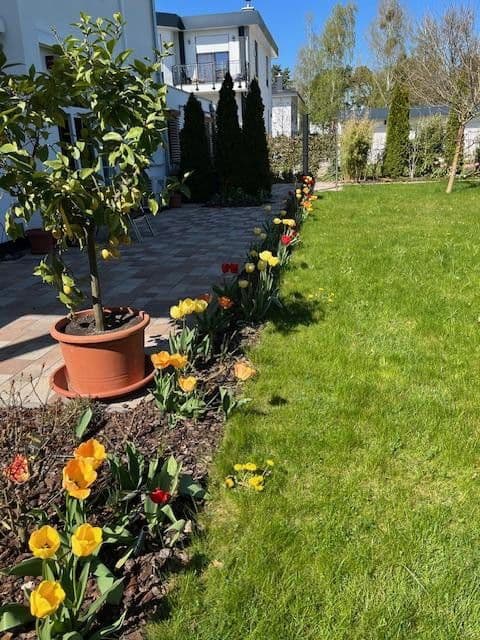 Prodej domu 265 m², pozemek 996 m², Potsdam Groß Glienicke zu Berlin, Braniborsko Prodej domu 265 m², pozemek 996 m², Potsdam Groß Glienicke zu Berlin, Braniborsko