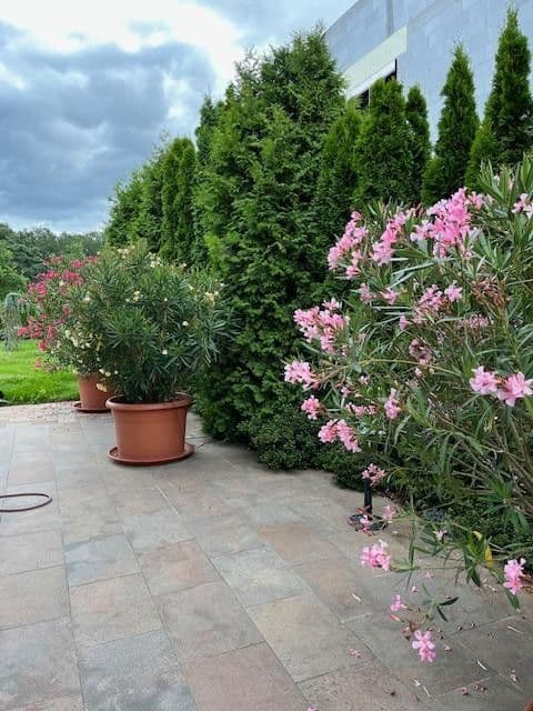 Prodej domu 265 m², pozemek 996 m², Potsdam Groß Glienicke zu Berlin, Braniborsko Prodej domu 265 m², pozemek 996 m², Potsdam Groß Glienicke zu Berlin, Braniborsko