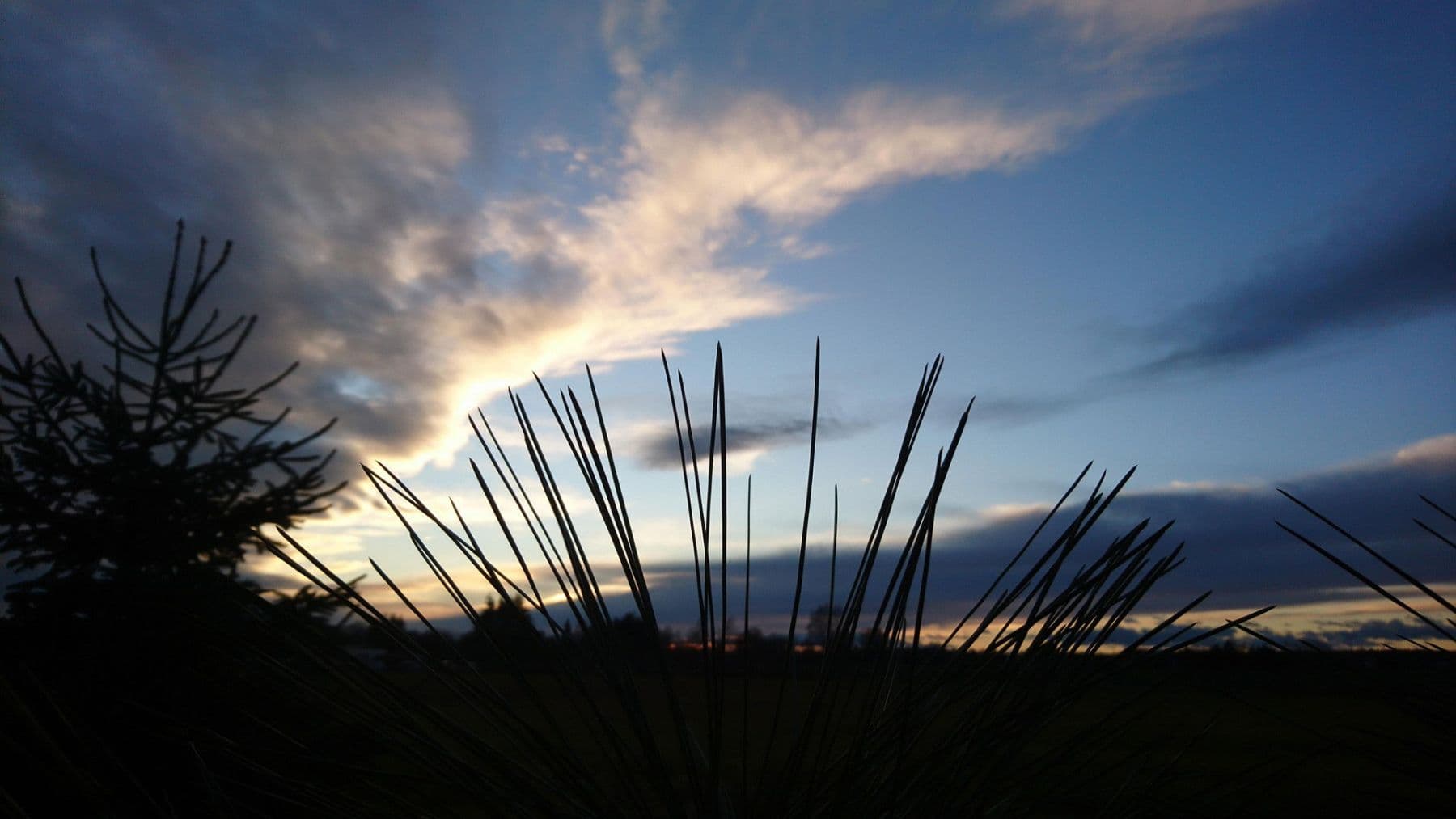 Prodej domu 167 m², pozemek 6.777 m², Gablenz - Jabłońc, Sasko Prodej domu 167 m², pozemek 6.777 m², Gablenz - Jabłońc, Sasko