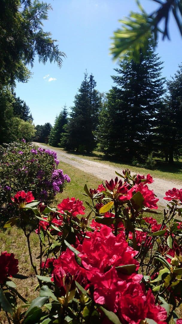 Prodej domu 167 m², pozemek 6.777 m², Gablenz - Jabłońc, Sasko Prodej domu 167 m², pozemek 6.777 m², Gablenz - Jabłońc, Sasko