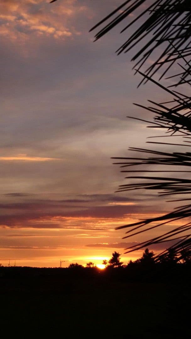 Prodej domu 167 m², pozemek 6.777 m², Gablenz - Jabłońc, Sasko Prodej domu 167 m², pozemek 6.777 m², Gablenz - Jabłońc, Sasko