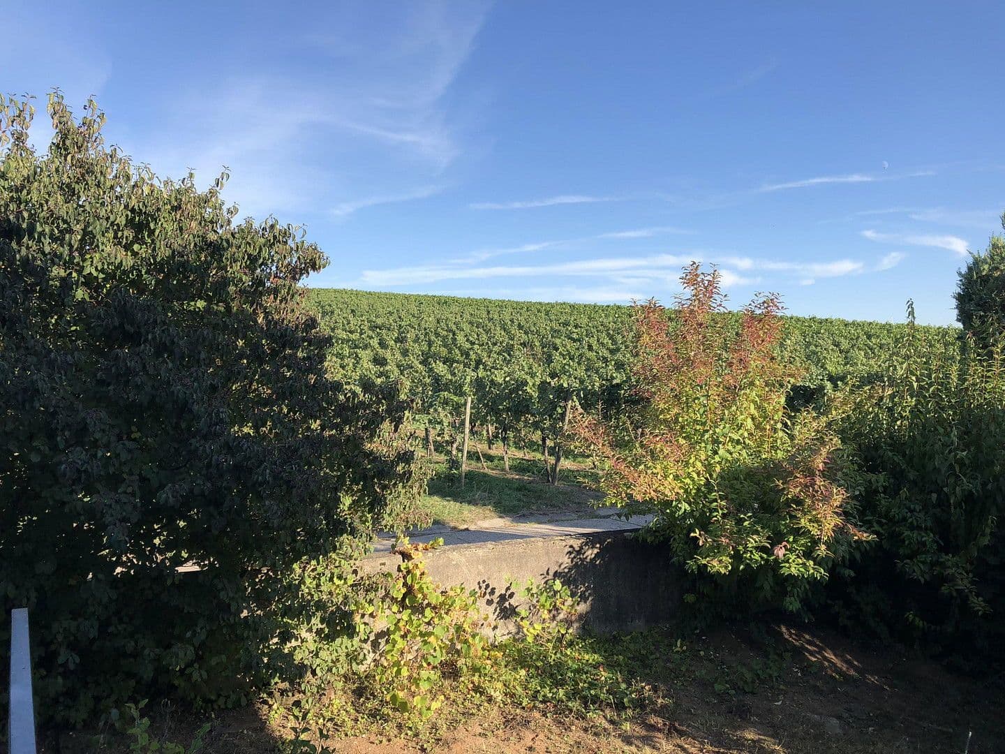 Pronájem bytu 5+1 136 m², Weinstadt, Bádensko-Württembersko Pronájem bytu 5+1 136 m², Weinstadt, Bádensko-Württembersko