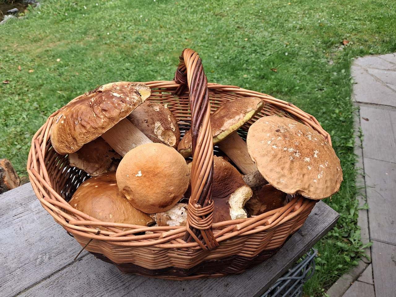 Pronájem chaty, chalupy, Holčovice, Moravskoslezský kraj Pronájem chaty, chalupy, Holčovice, Moravskoslezský kraj