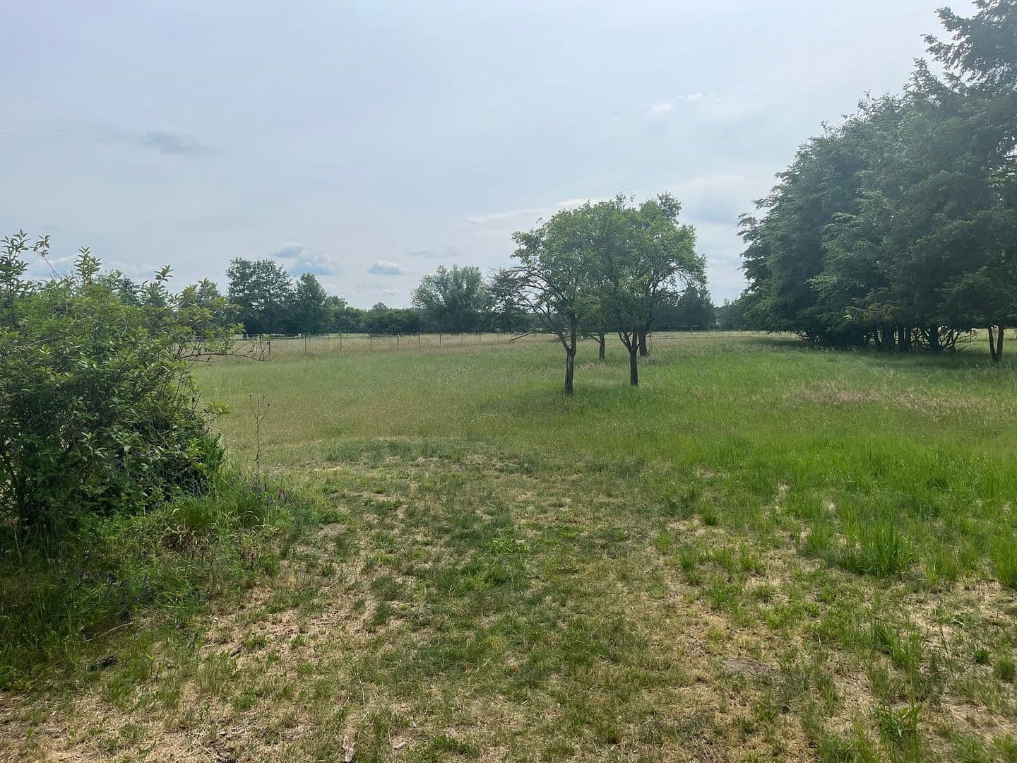 Prodej pozemku 2.342 m², Spreenhagen, Braniborsko Prodej pozemku 2.342 m², Spreenhagen, Braniborsko