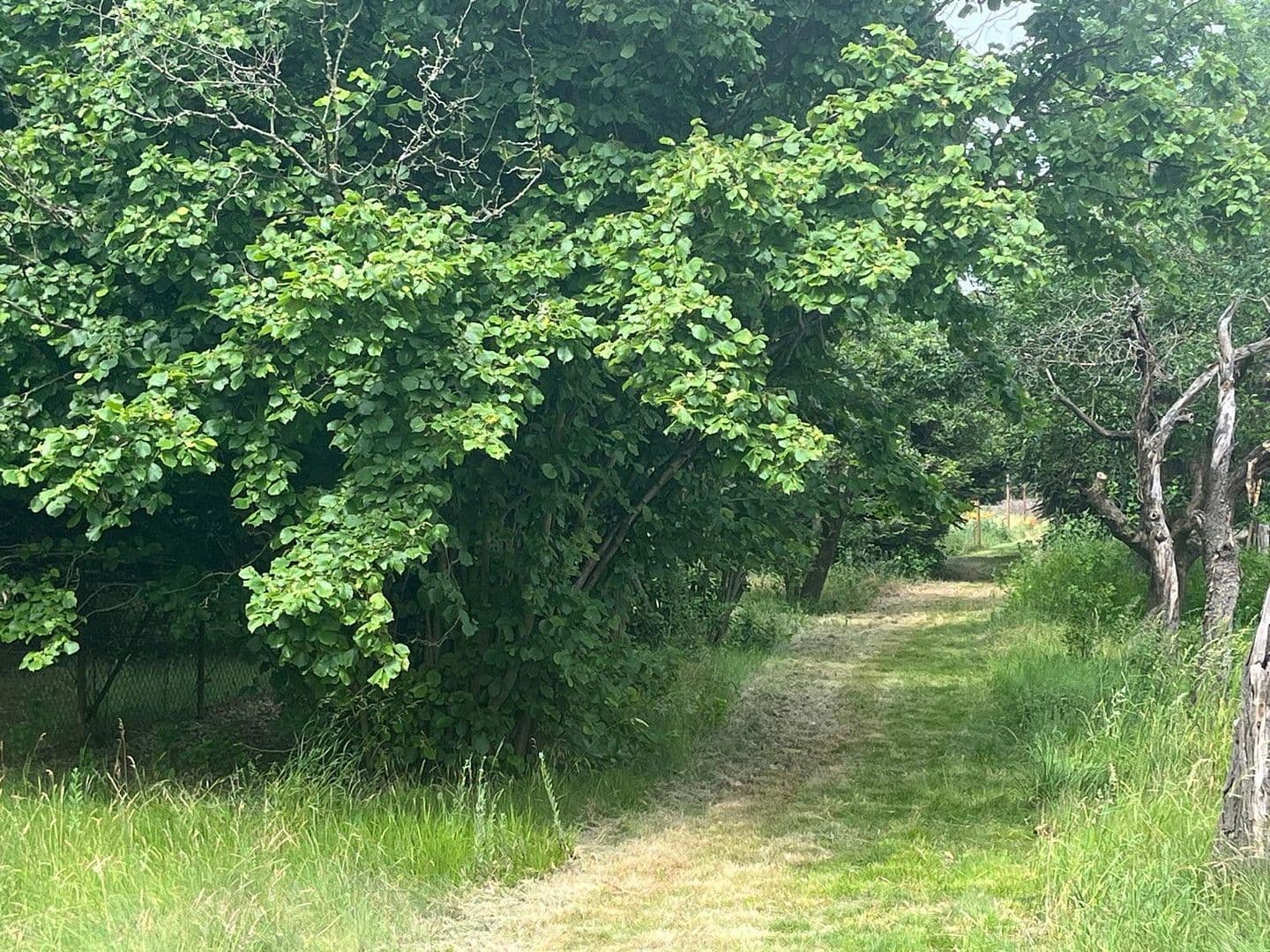 Prodej pozemku 2.342 m², Spreenhagen, Braniborsko Prodej pozemku 2.342 m², Spreenhagen, Braniborsko