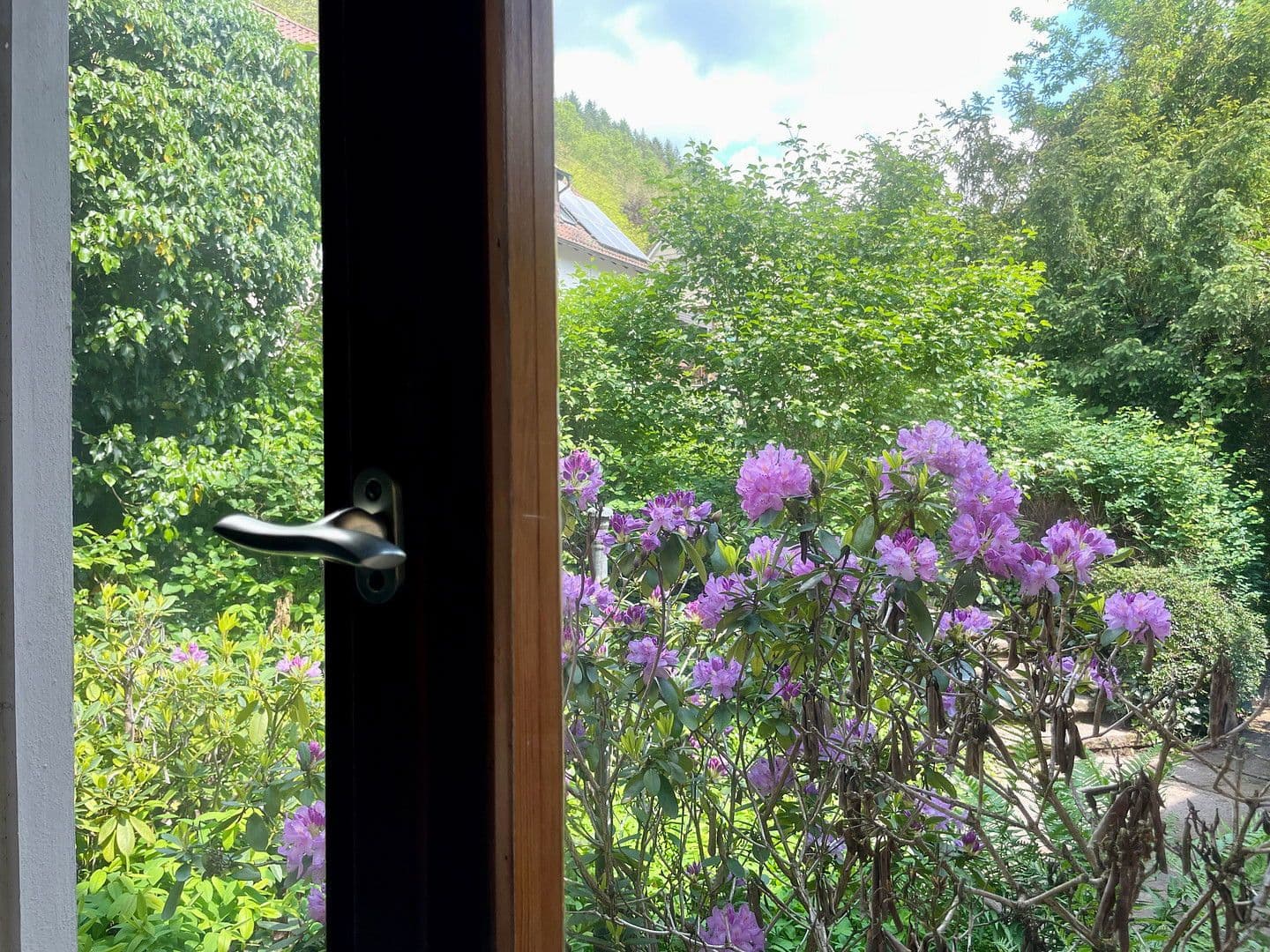 Prodej domu 346 m², pozemek 2.815 m², Hausbergstrasse 8, Frankeneck, Porýní-Falc Prodej domu 346 m², pozemek 2.815 m², Hausbergstrasse 8, Frankeneck, Porýní-Falc