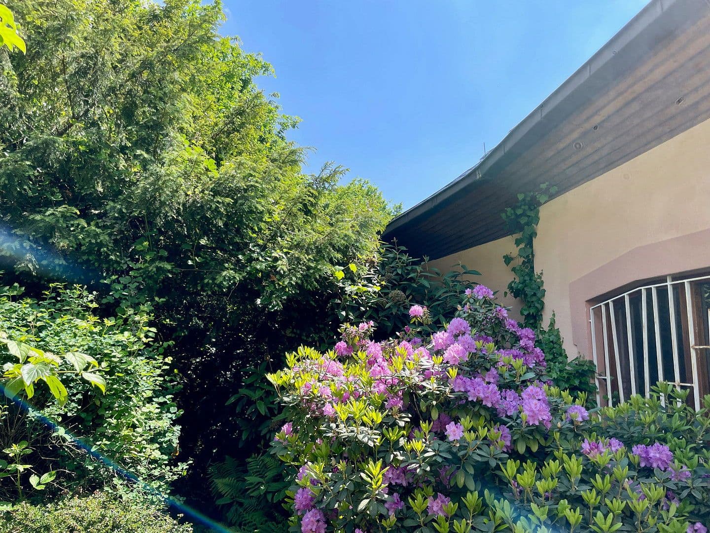 Prodej domu 346 m², pozemek 2.815 m², Hausbergstrasse 8, Frankeneck, Porýní-Falc Prodej domu 346 m², pozemek 2.815 m², Hausbergstrasse 8, Frankeneck, Porýní-Falc