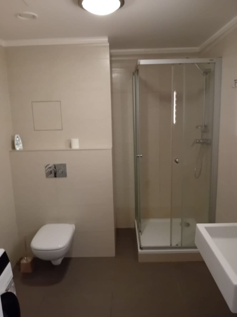 Pronájem bytu 1+kk 36 m², V Olšinách, Praha, Praha Pronájem bytu 1+kk 36 m², V Olšinách, Praha, Praha