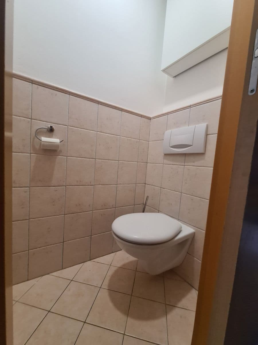 Pronájem bytu 3+1 75 m², Brichtova, Praha, Praha Pronájem bytu 3+1 75 m², Brichtova, Praha, Praha