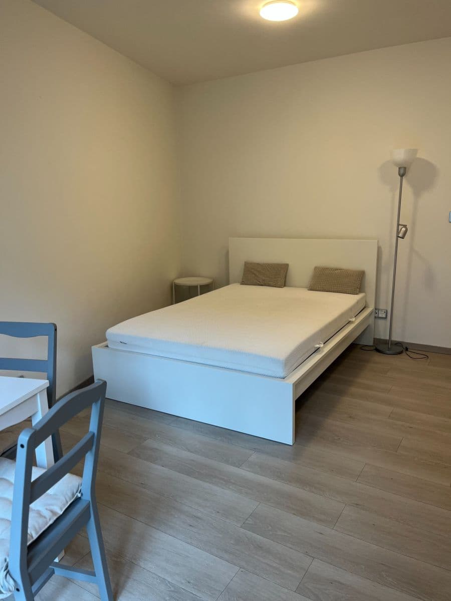 Pronájem bytu 1+kk 27 m², Elišky Přemyslovny, Praha, Praha Pronájem bytu 1+kk 27 m², Elišky Přemyslovny, Praha, Praha