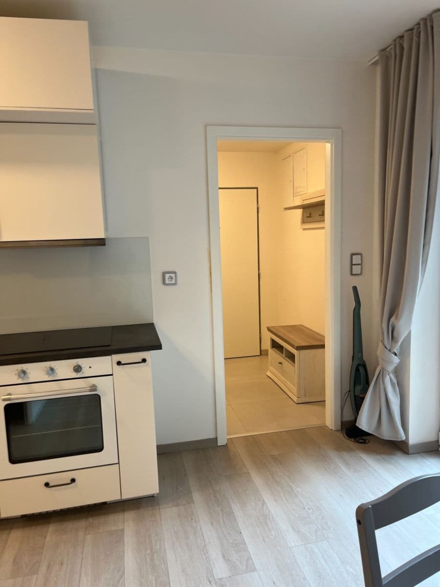 Pronájem bytu 1+kk 27 m², Elišky Přemyslovny, Praha, Praha Pronájem bytu 1+kk 27 m², Elišky Přemyslovny, Praha, Praha