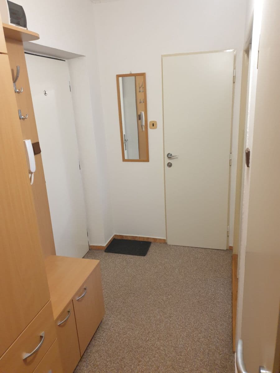 Pronájem bytu 1+1 36 m², Gen. Hrušky, Ostrava, Moravskoslezský kraj Pronájem bytu 1+1 36 m², Gen. Hrušky, Ostrava, Moravskoslezský kraj