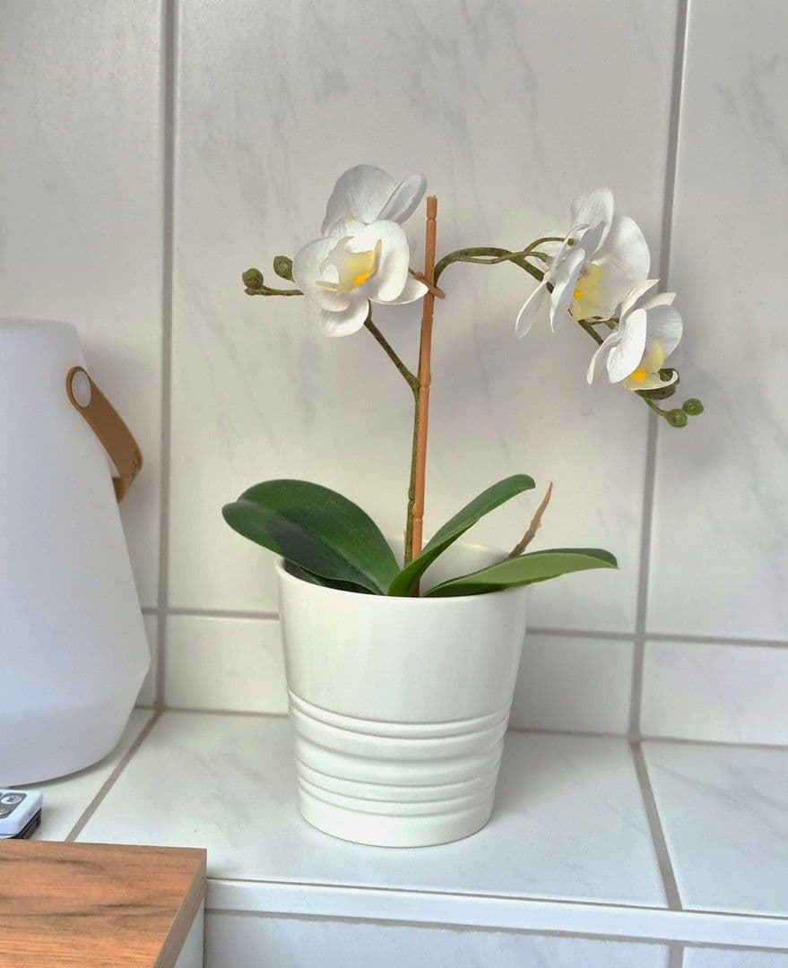 Pronájem bytu 3+1 85 m², Rödermark, Hessen Pronájem bytu 3+1 85 m², Rödermark, Hessen