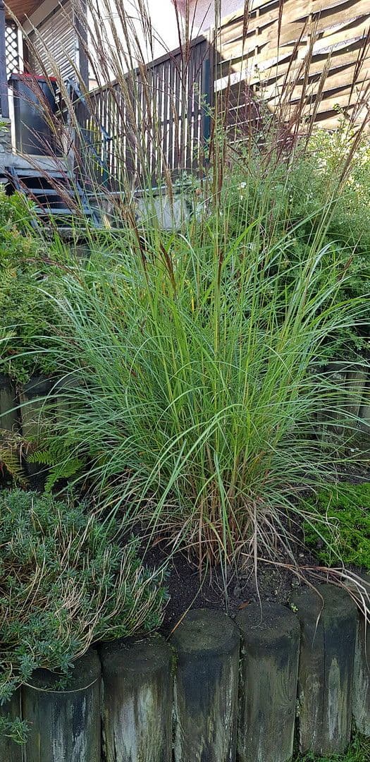 Prodej domu 210 m², pozemek 605 m², Weitraerstrasse 10, Gmünd, Dolní Rakousko Prodej domu 210 m², pozemek 605 m², Weitraerstrasse 10, Gmünd, Dolní Rakousko