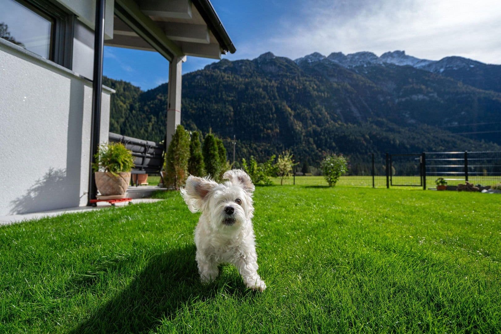 Prodej domu 156 m², pozemek 692 m², Leutasch, Tyrolsko Prodej domu 156 m², pozemek 692 m², Leutasch, Tyrolsko