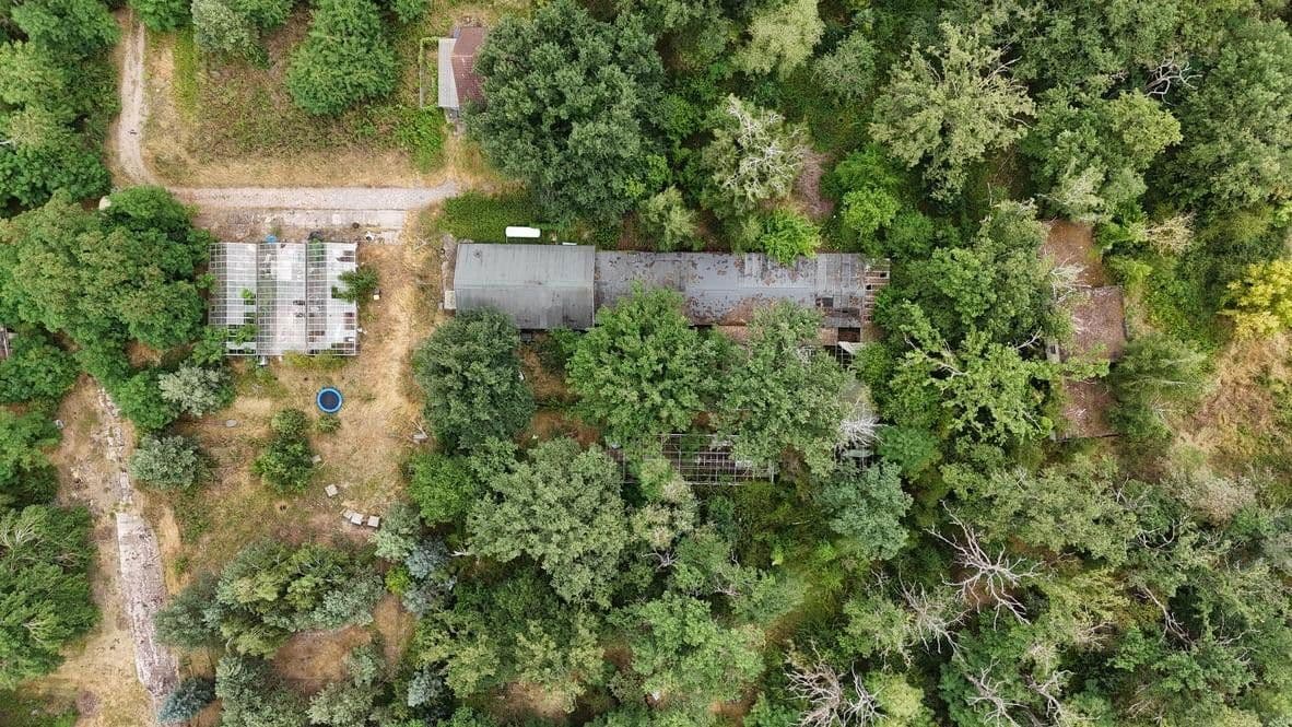 Prodej domu 120 m², pozemek 9.500 m², Königendorferstr. 85, Dessau-Rosslau, Sasko-Anhaltsko Prodej domu 120 m², pozemek 9.500 m², Königendorferstr. 85, Dessau-Rosslau, Sasko-Anhaltsko