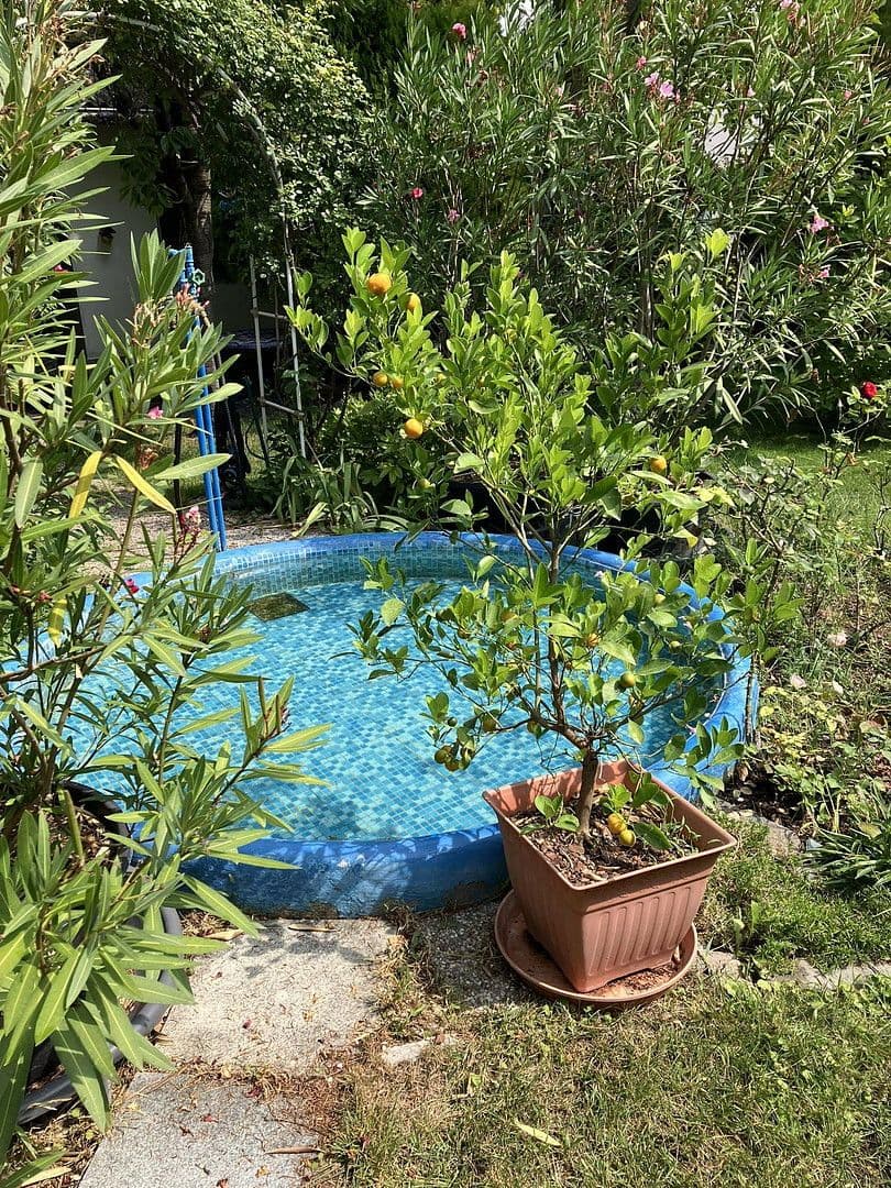 Prodej domu 100 m², pozemek 427 m², Gumpoldskirchen, Dolní Rakousko Prodej domu 100 m², pozemek 427 m², Gumpoldskirchen, Dolní Rakousko