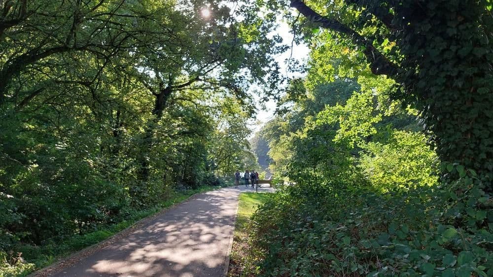 Pronájem bytu 2+1 40 m², Bürgerstraße 40, Hamburg, Hamburg Pronájem bytu 2+1 40 m², Bürgerstraße 40, Hamburg, Hamburg