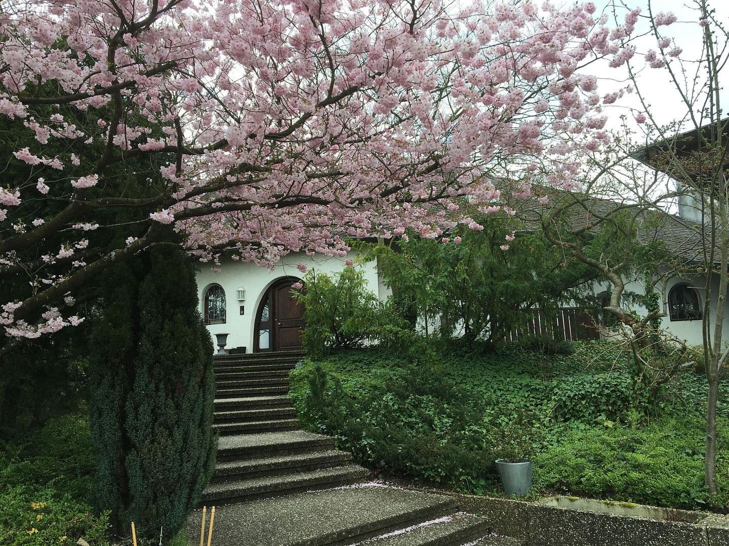 Prodej nebytového prostoru 3.682 m², Hagenbach, Porýní-Falc Prodej nebytového prostoru 3.682 m², Hagenbach, Porýní-Falc