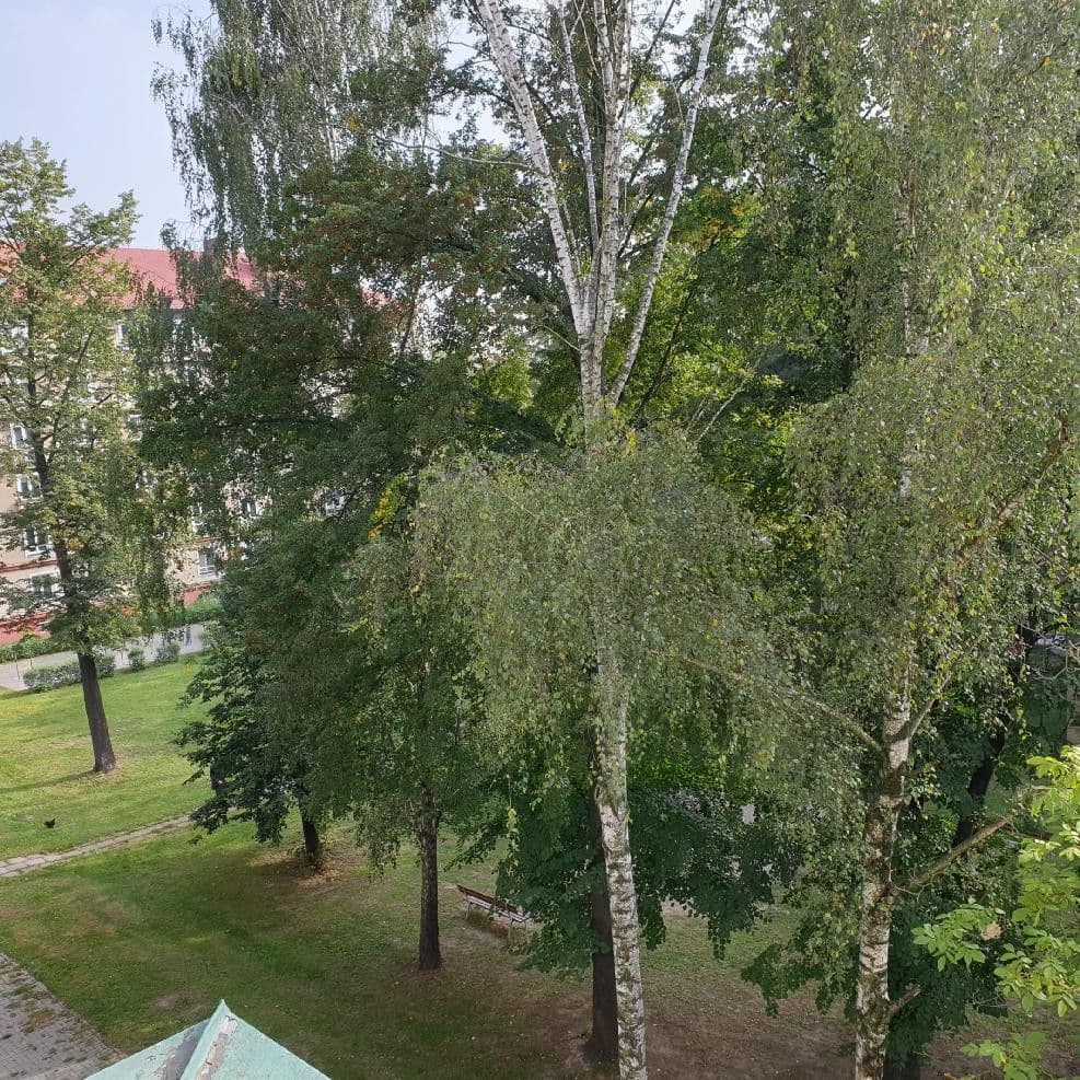 Pronájem bytu 2+1 65 m², Matěje Kopeckého, Ostrava, Moravskoslezský kraj Pronájem bytu 2+1 65 m², Matěje Kopeckého, Ostrava, Moravskoslezský kraj