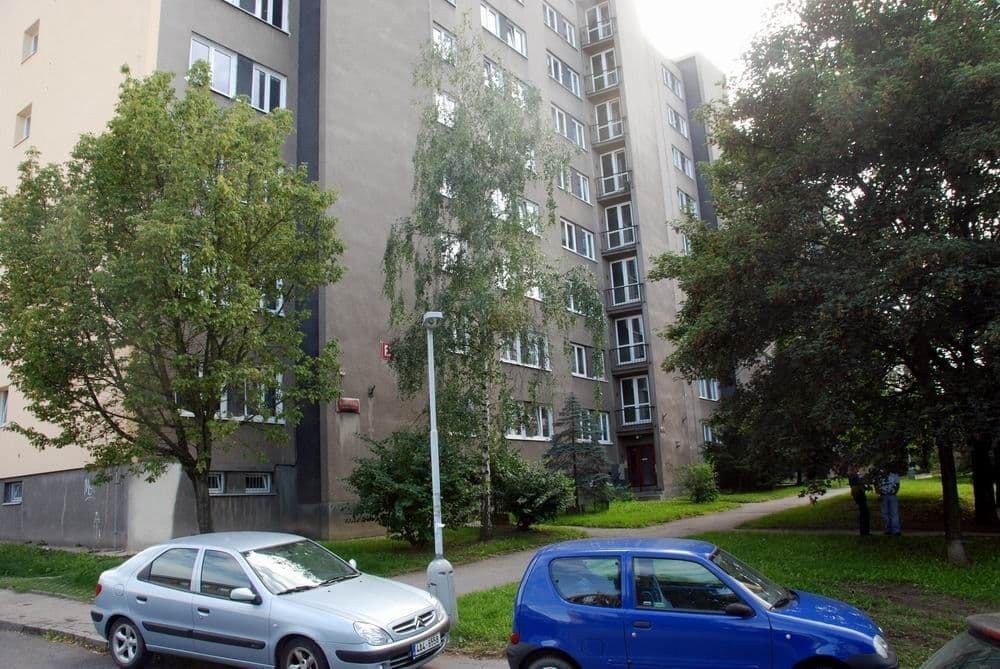 Pronájem bytu 1+kk 30 m², Svojšovická, Praha, Praha Pronájem bytu 1+kk 30 m², Svojšovická, Praha, Praha