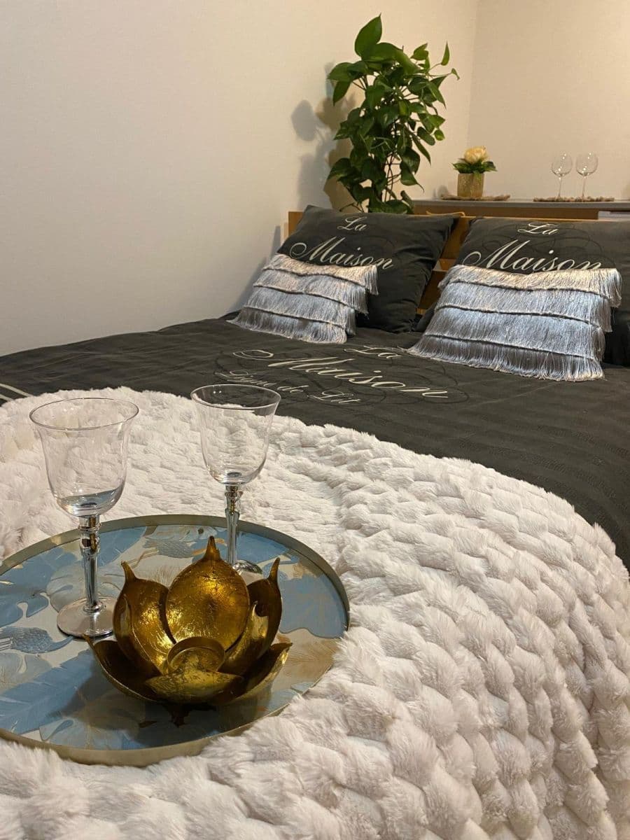 Pronájem bytu 30 m², Janského, Olomouc, Olomoucký kraj Pronájem bytu 30 m², Janského, Olomouc, Olomoucký kraj