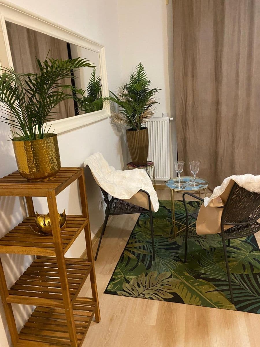 Pronájem bytu 30 m², Janského, Olomouc, Olomoucký kraj Pronájem bytu 30 m², Janského, Olomouc, Olomoucký kraj