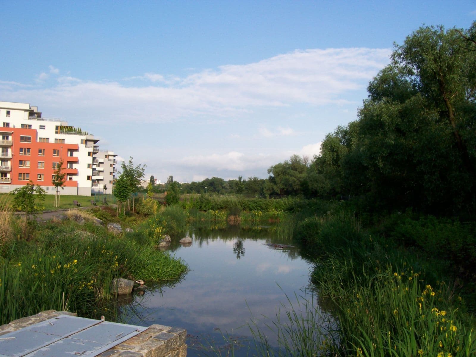 Pronájem bytu 1+kk 29 m², Velenovského, Praha, Praha Pronájem bytu 1+kk 29 m², Velenovského, Praha, Praha