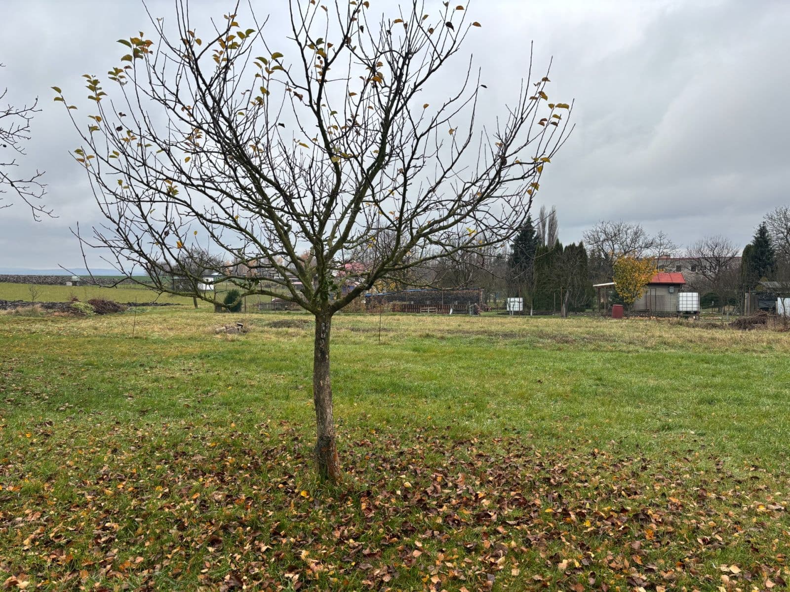 Prodej pozemku 1.012 m², Holešov, Zlínský kraj Prodej pozemku 1.012 m², Holešov, Zlínský kraj