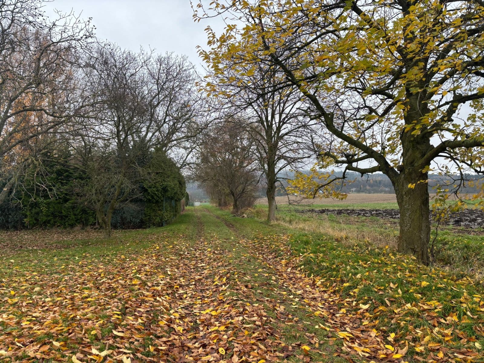 Prodej pozemku 1.012 m², Holešov, Zlínský kraj Prodej pozemku 1.012 m², Holešov, Zlínský kraj