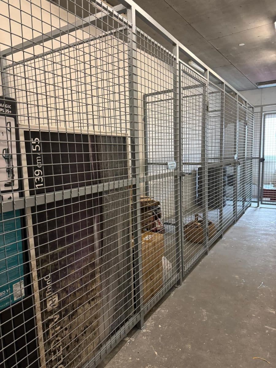 Pronájem bytu 1+kk 37 m², Na Šafranici, Mladá Boleslav, Středočeský kraj Pronájem bytu 1+kk 37 m², Na Šafranici, Mladá Boleslav, Středočeský kraj